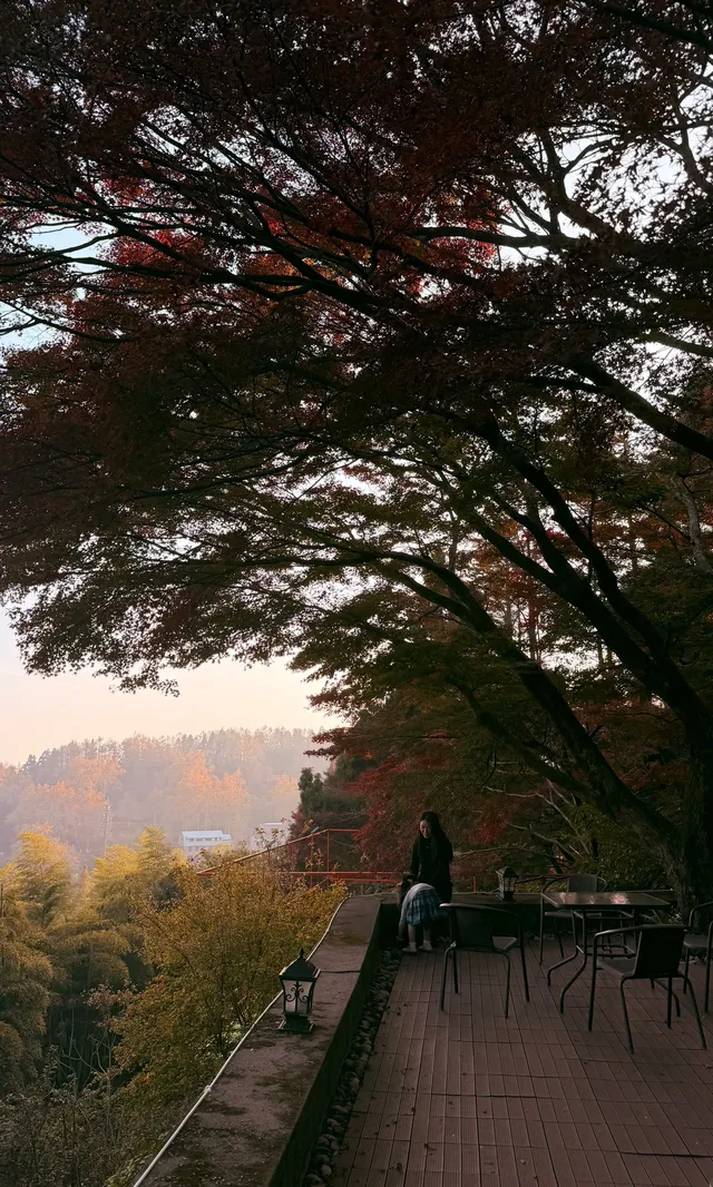 全屏打開莫干山的秋實況也太美了 全屏打開莫干山的秋實況也太美了