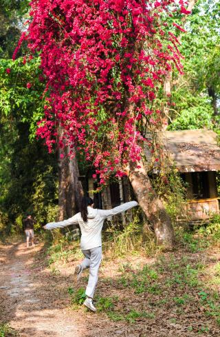네팔의 "야생의 심장"! 정글 트레킹으로 봄을 만끽해요