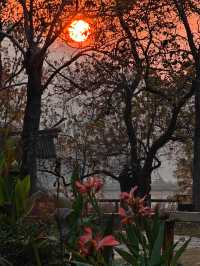 「武漢賞秋」一日遊仙境攻略~