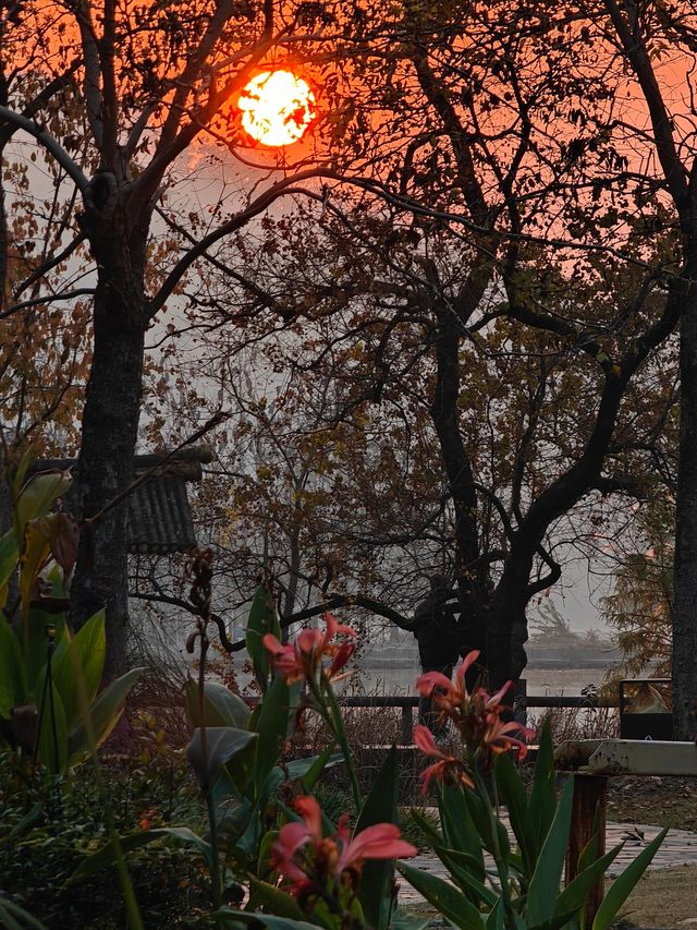 「武漢賞秋」一日遊仙境攻略~ 「武漢賞秋」一日遊仙境攻略~