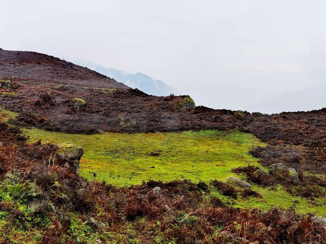 神秘的黑竹溝 神秘的黑竹溝