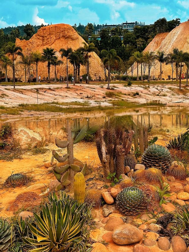 真不是國外 雲南建水竟然藏了個·小加州 真不是國外 雲南建水竟然藏了個·小加州