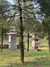 洛陽|週末泡溫泉逛少林寺親子兩日遊