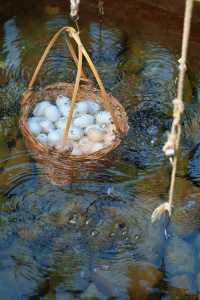 這是全國唯一含鍺的溫泉,福建三明清流