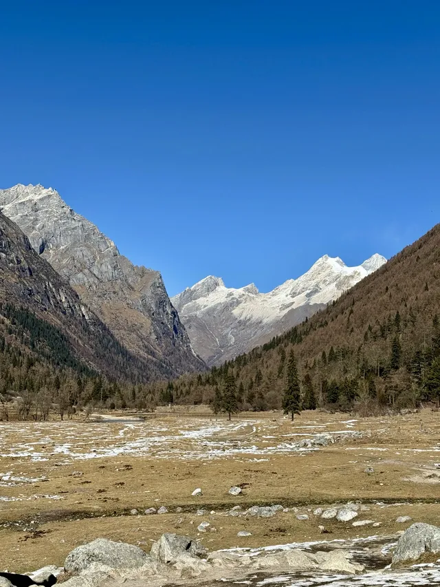長坪溝美哭！雪山草甸徒步真的太治癒
