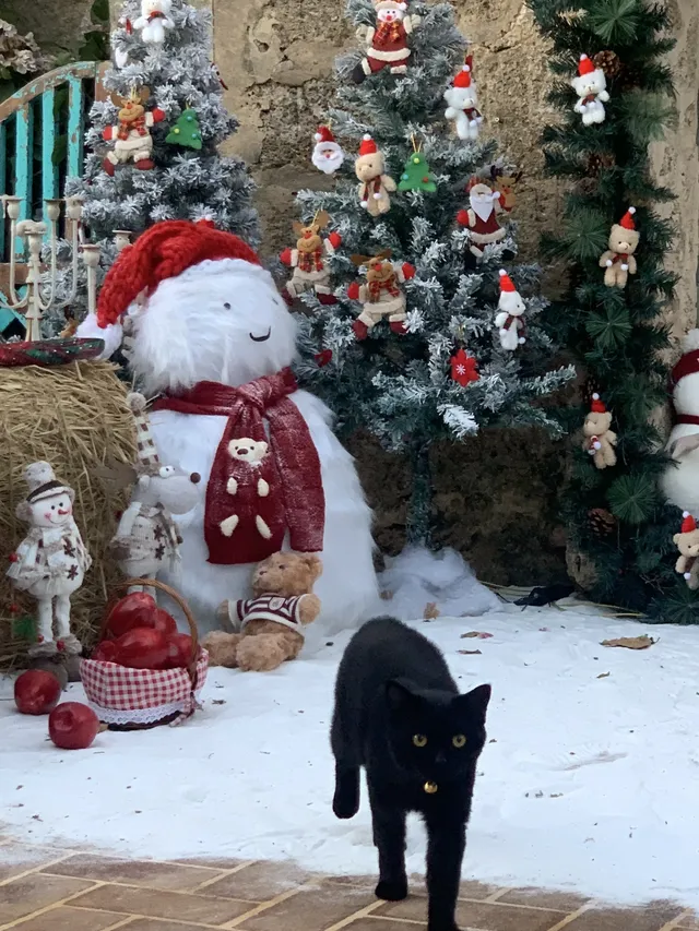 𝓜𝓮𝓻𝓻𝔂 𝓒𝓱𝓻𝓲𝓼𝓽𝓶𝓪𝓼 ₊*◞ 𓂃 𝓜𝓮𝓻𝓻𝔂 𝓒𝓱𝓻𝓲𝓼𝓽𝓶𝓪𝓼 ₊*◞ 𓂃