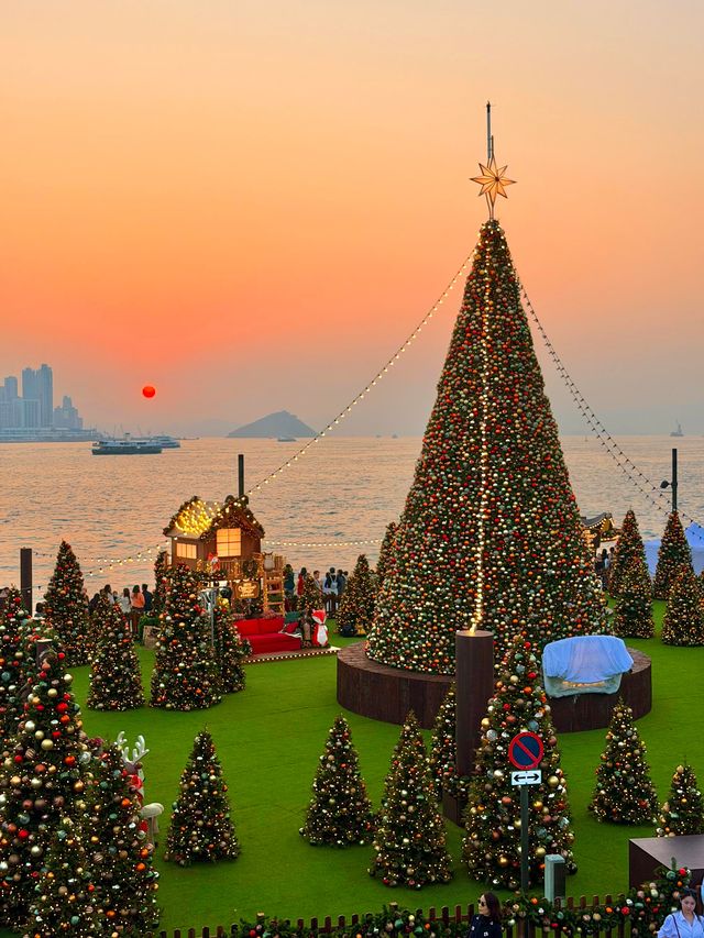 香港西九龍聖誕樹打卡攻略首日亮燈實拍絕了! 香港西九龍聖誕樹打卡攻略首日亮燈實拍絕了!