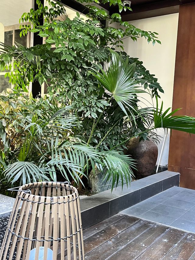 隱世小院偷閒指南