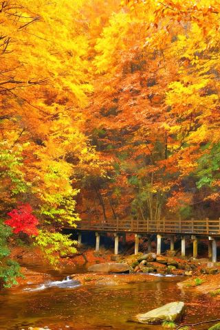 央視力推的秋日頂流成都周邊「中國紅葉第一山」