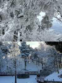 抓緊碼住這份廬山賞雪攻略看霧淞雲海的絕佳時機來了