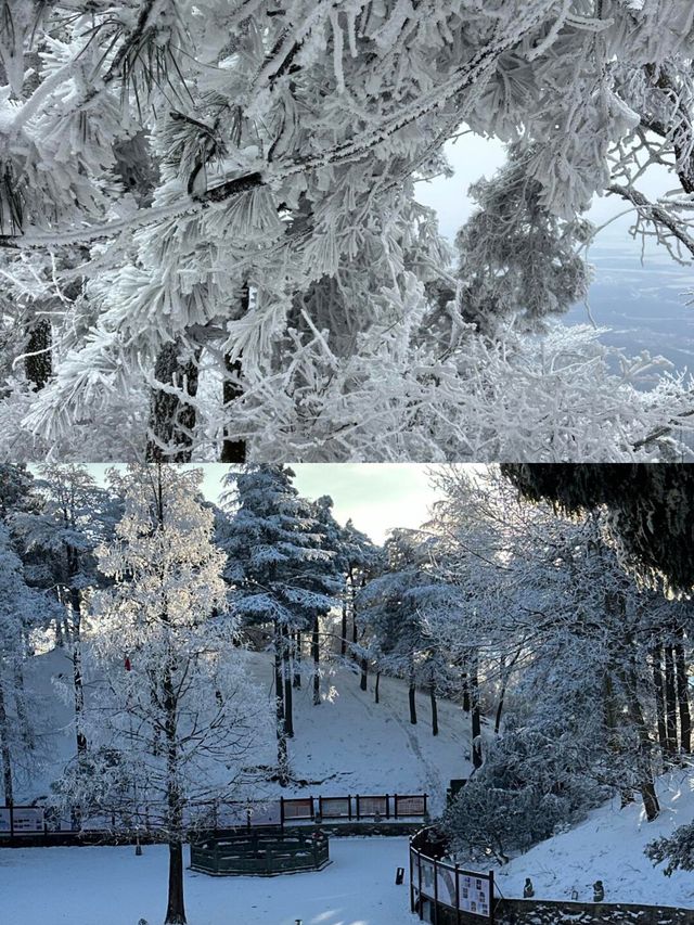 抓緊碼住這份廬山賞雪攻略看霧淞雲海的絕佳時機來了 抓緊碼住這份廬山賞雪攻略看霧淞雲海的絕佳時機來了