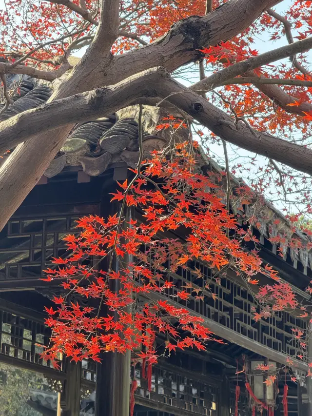 Xiamen to Yangzhou Autumn Viewing Special Forces Travel Record