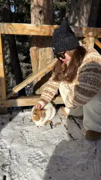 12.2 治癒日｜白哈巴→喀納斯漫遊