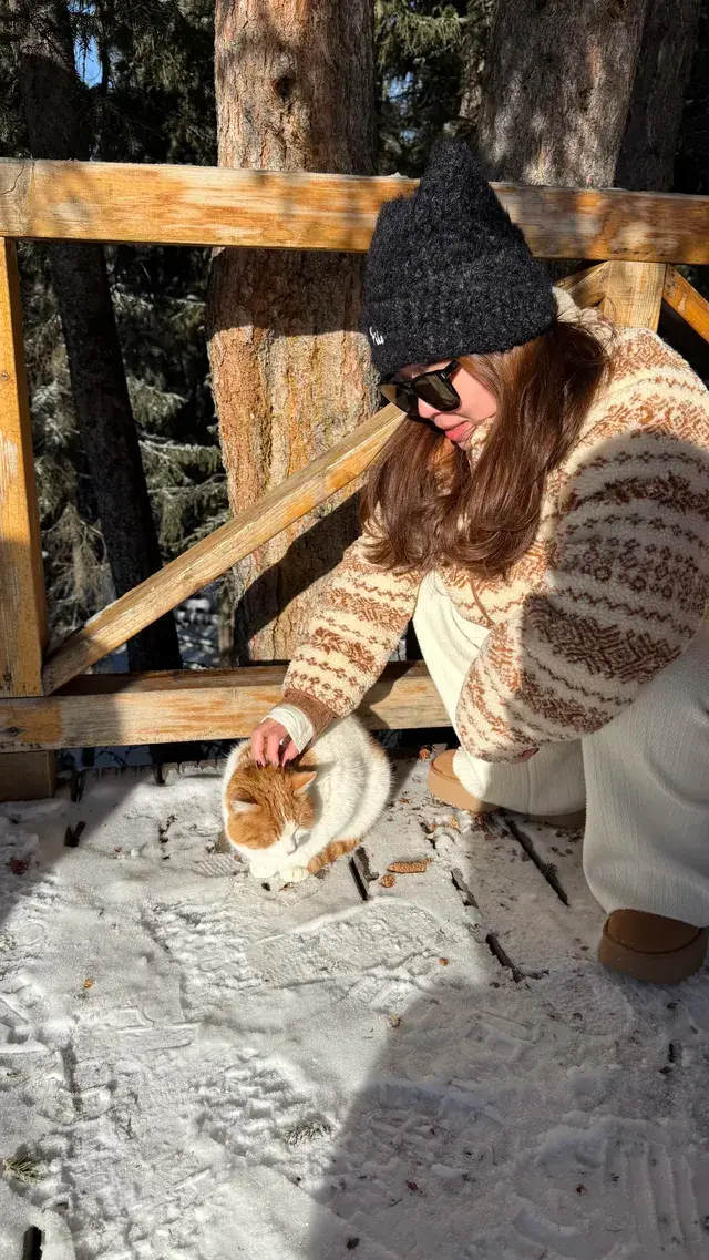 12.2 治癒日｜白哈巴→喀納斯漫遊