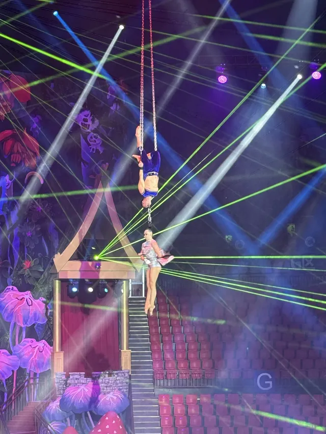 上海野生動物園最全帶娃攻略 上海野生動物園最全帶娃攻略