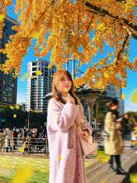 金色暴擊!上海黃金城道銀杏濃度已滿格!