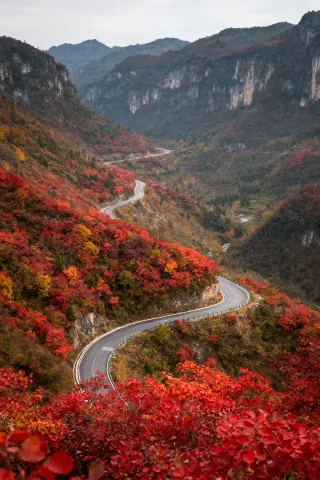 徒步賞秋天花板！這裡的秋日濃度已達90%