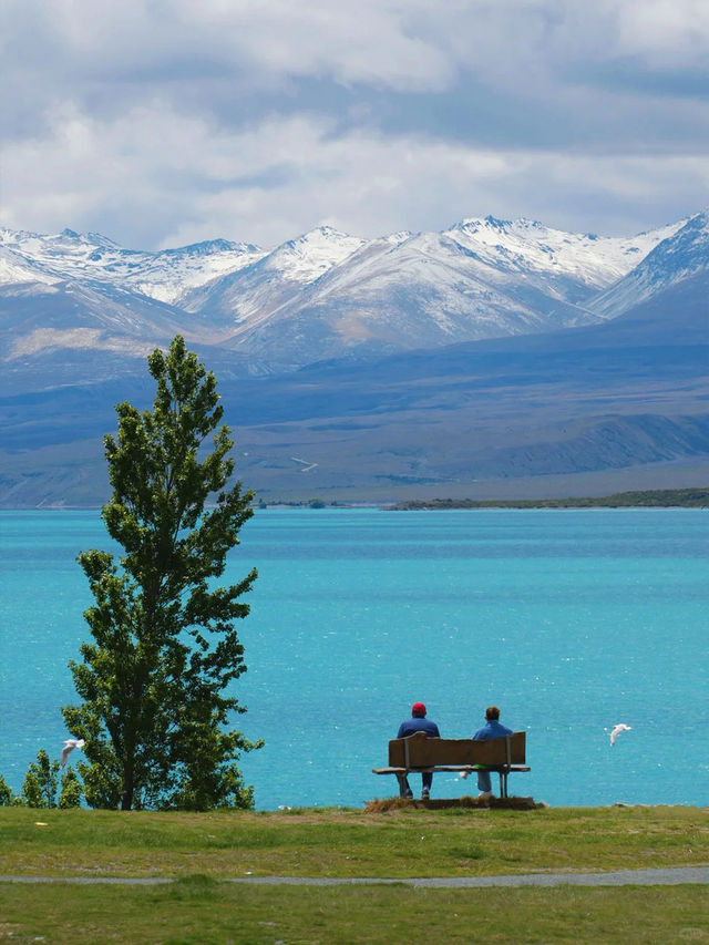 新西蘭12日遊冬天來這玩太值了 新西蘭12日遊冬天來這玩太值了