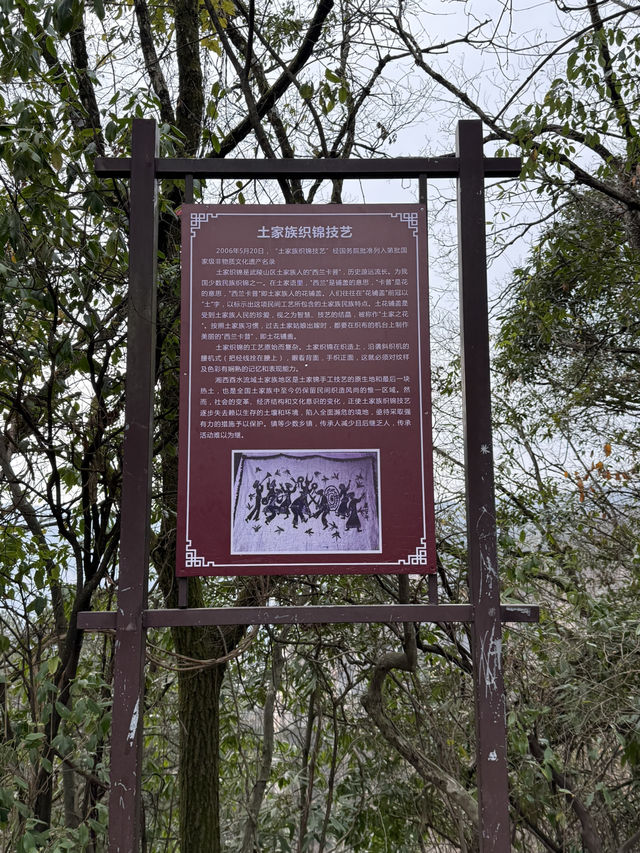 張家界 / 御筆峰 張家界 / 御筆峰