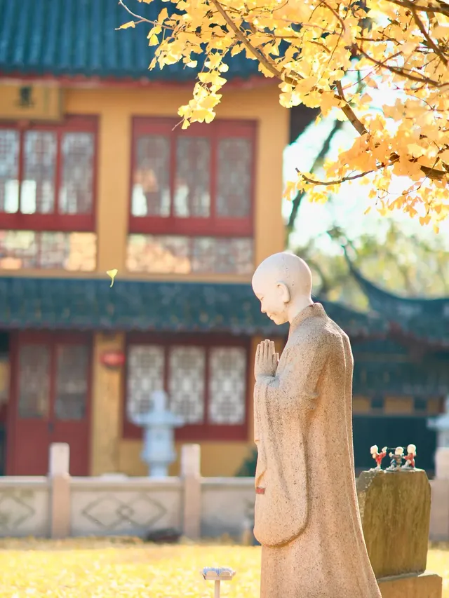 都給我衝，上海賞秋怎能少了這顆千年古銀杏