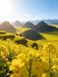 油菜花海拍照指南