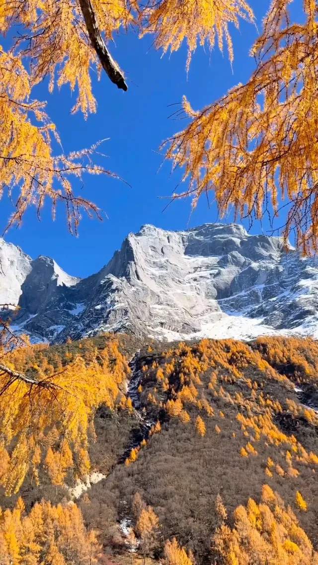 冬季川西四姑娘山稻城亞丁 冬季川西四姑娘山稻城亞丁