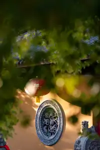 深秋的龍華寺美到無法用言語描述