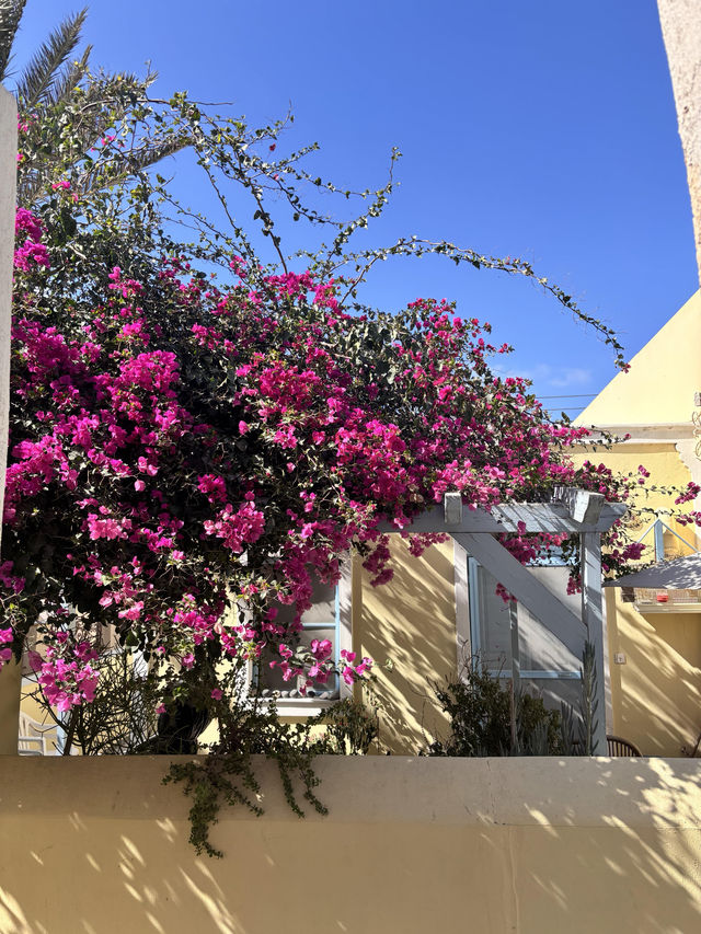 聖托里尼|把愛琴海的藍白浪漫焊進鏡頭裡好好看 聖托里尼|把愛琴海的藍白浪漫焊進鏡頭裡好好看