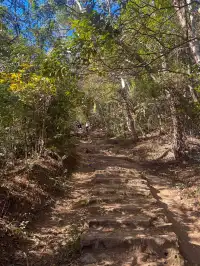 莫干山蔣公古道 請大膽浪費時間給秋天