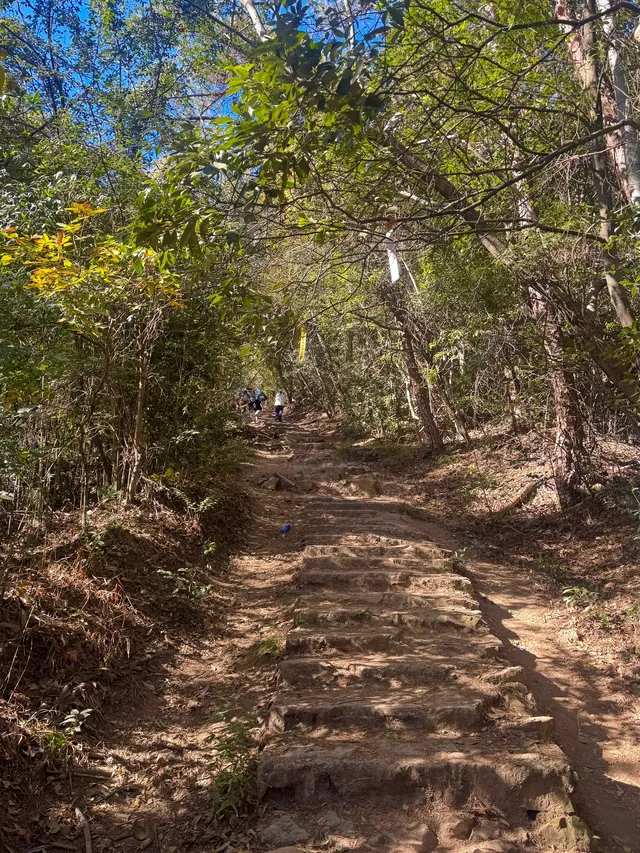 莫干山蔣公古道 請大膽浪費時間給秋天