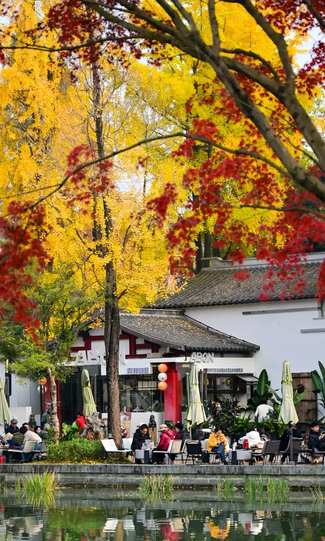 不是蘇州園林，是成都易園