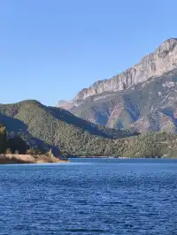 被瀘沽湖美鼠！12.4實拍！