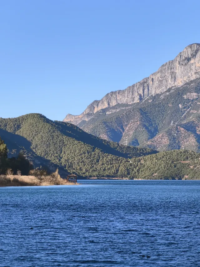 被瀘沽湖美鼠！12.4實拍！