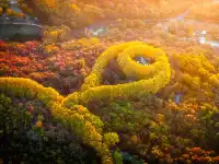 入了秋,南京便成了金陵