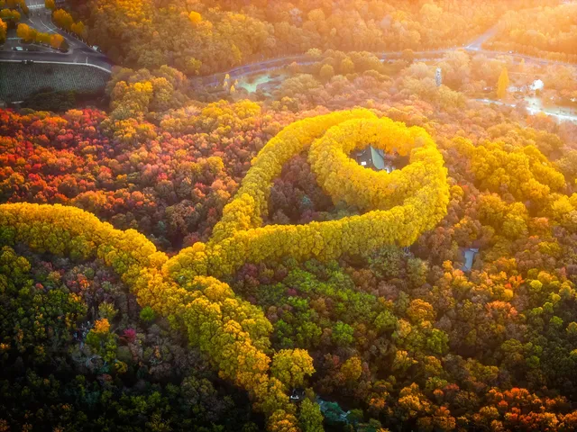 入了秋,南京便成了金陵 入了秋,南京便成了金陵