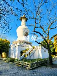 12月的揚州，把冬天過成一幅畫