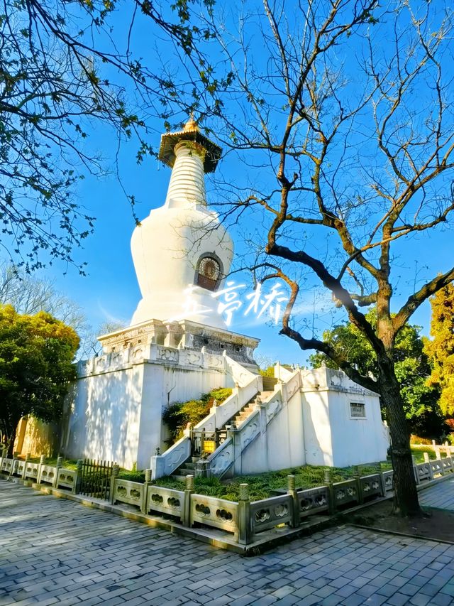 12月的揚州，把冬天過成一幅畫