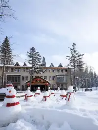 去長白山北坡選藍景一站式滑雪度假