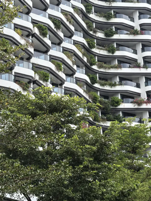 鈦金酒店養老北海萬豪11月入住率好高 鈦金酒店養老北海萬豪11月入住率好高