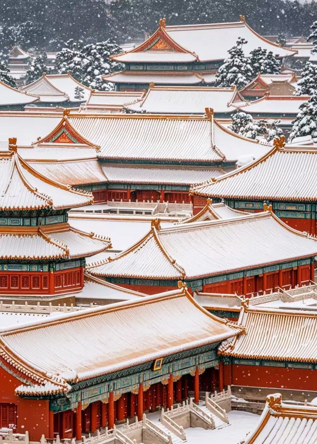 紫禁冬韻 | 紅牆白雪與時光的詩