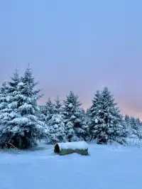 長白山雪嶺聖誕樹林裡的夢幻日落(附攻略)