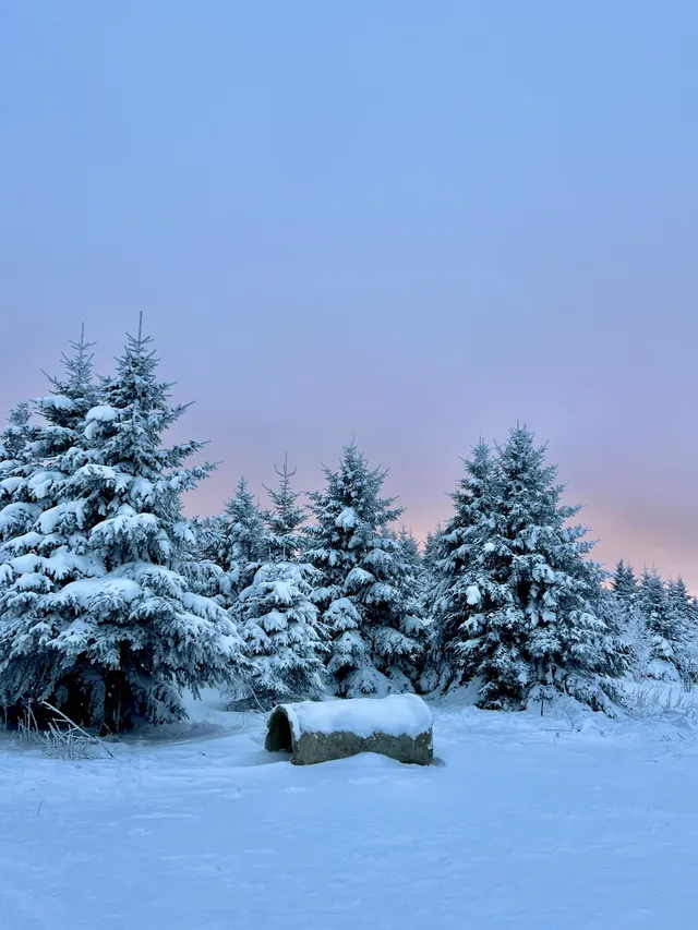 長白山雪嶺聖誕樹林裡的夢幻日落(附攻略) 長白山雪嶺聖誕樹林裡的夢幻日落(附攻略)