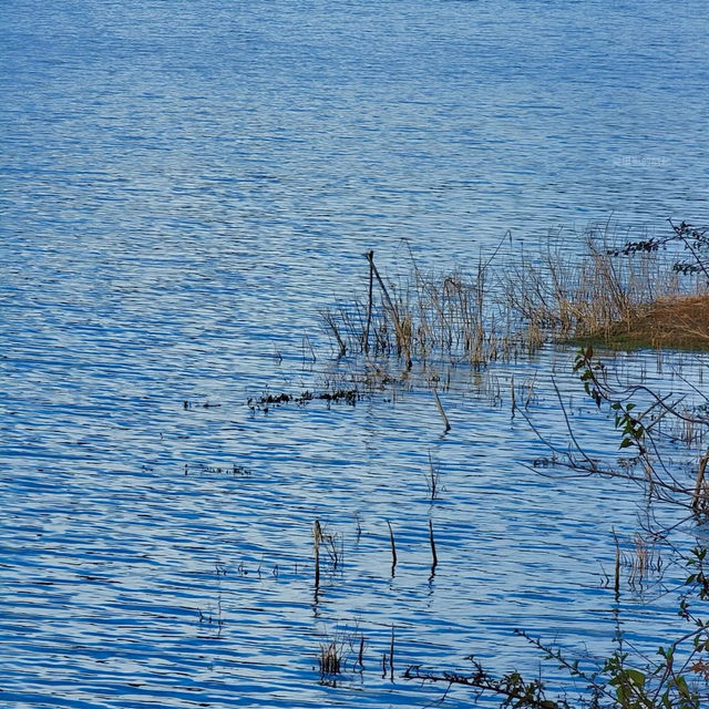 【雲南德雲洲情侶自駕3天攻略】浪漫邂逅大自然，開啟你的夢幻之旅！    爆點預警： 這