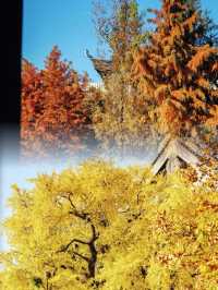 迄今為止,我最愛的江南古鎮出現啦