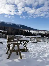 冬天的阿勒泰,真是去了還想去的地方~