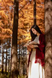 長興桃花岬的紅杉很美啊～～