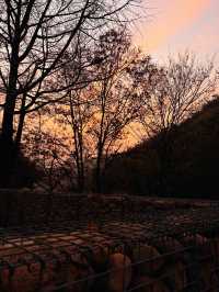 週末/假日逃離計劃|且息山裡的24h山野治癒時光