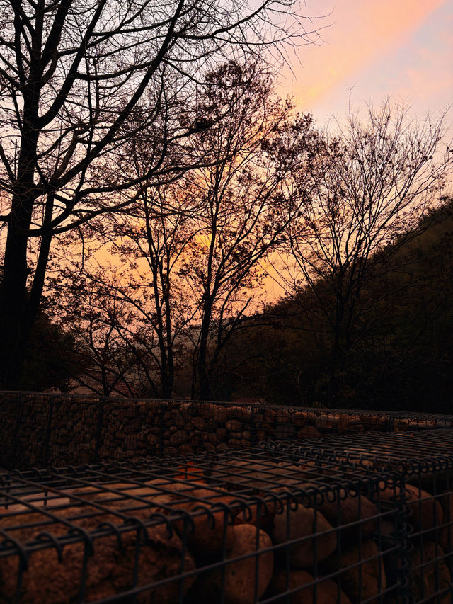 週末/假日逃離計劃|且息山裡的24h山野治癒時光 週末/假日逃離計劃|且息山裡的24h山野治癒時光