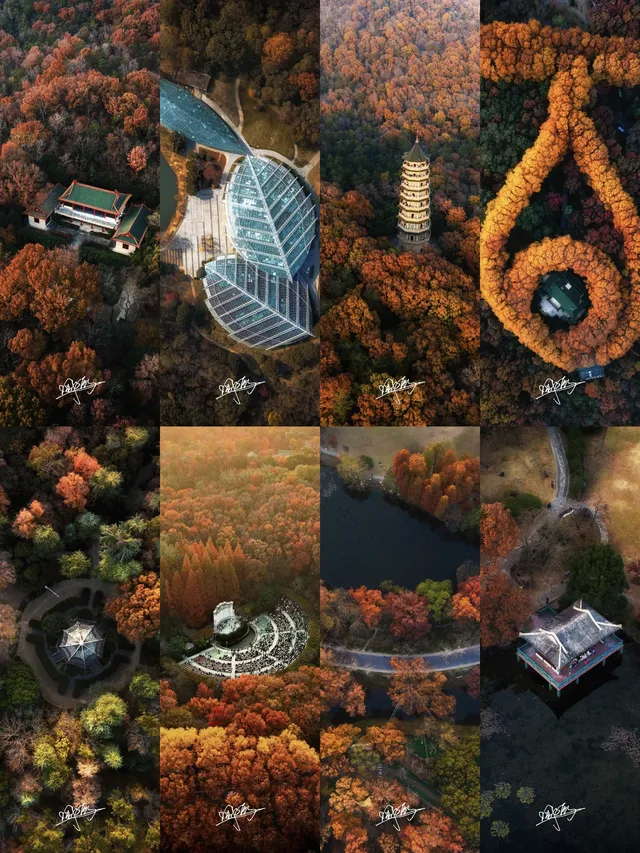 南京秋日航拍 南京秋日航拍