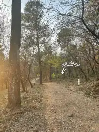 南京浦口隆興寺 | 人少幽靜的古寺